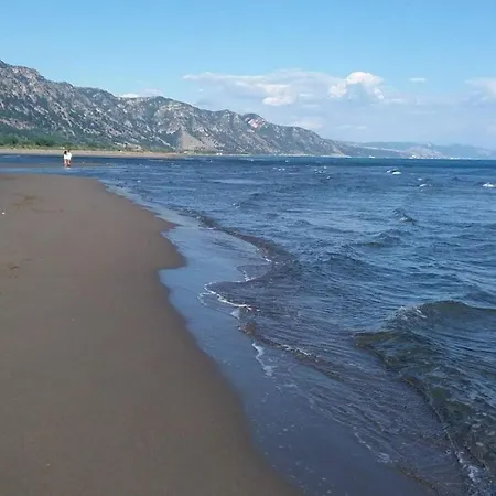 Rozafa Velipoje *