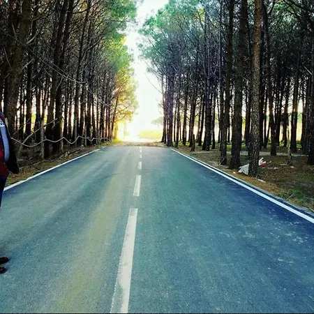 Rozafa Velipoje Ξενοδοχείο με διαμερίσματα *