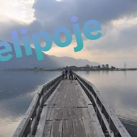 Rozafa Velipoje * Baks-Rrjoll